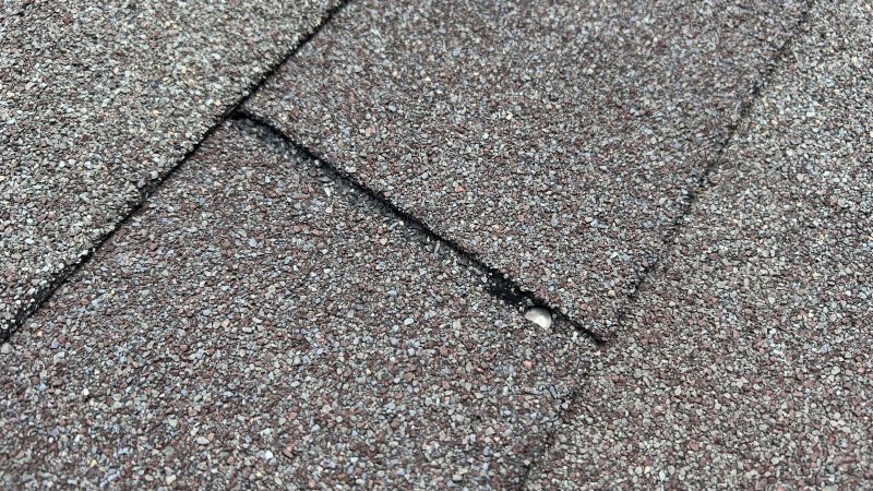 Common Signs You Need Asphalt Shingle Roof Repair